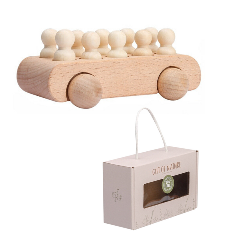 Montessori Wooden Set