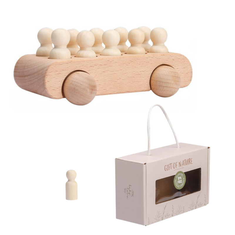 Montessori Wooden Set