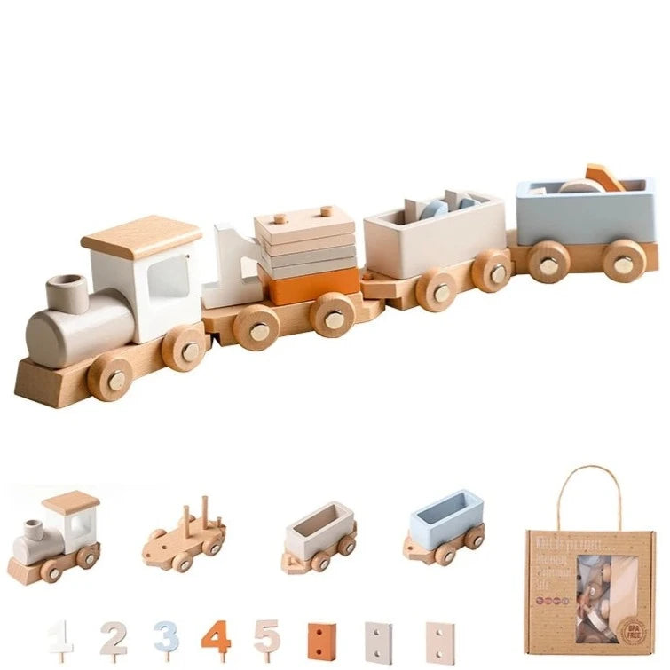 Montessori Wooden Set